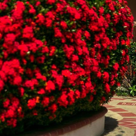 Hosteria Tonusco Campestre Santa Fe de Antioquia Eksteriør bilde