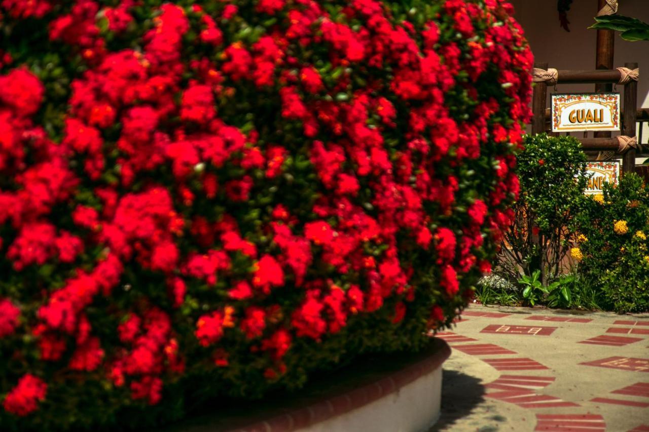 Hosteria Tonusco Campestre Santa Fe de Antioquia Eksteriør bilde